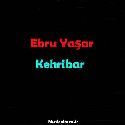 Ebru Yaşar Kehribar