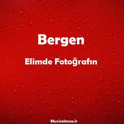 Bergen Elimde Fotoğrafın