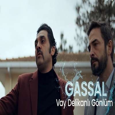 Bayhan Vay Delikanlı Gönlüm